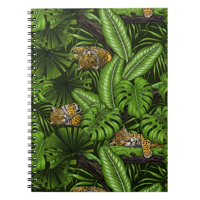 Cuaderno Gatitos de la jungla (Frente)