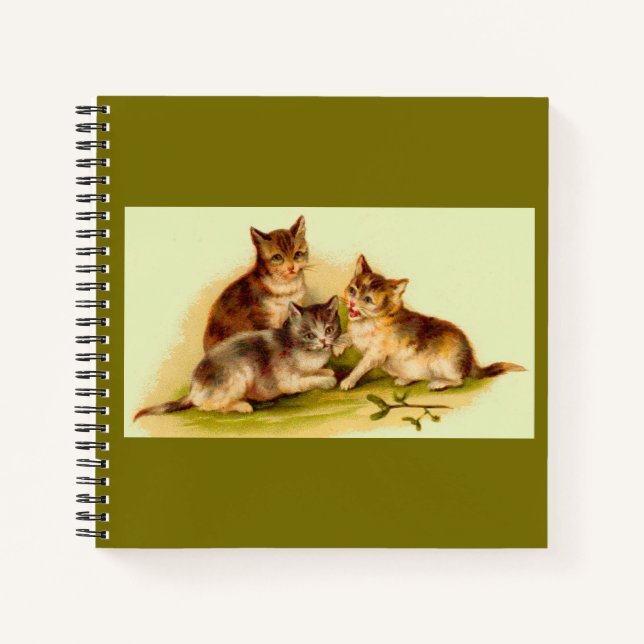 Cuaderno Gatitos de Victoria (Anverso)