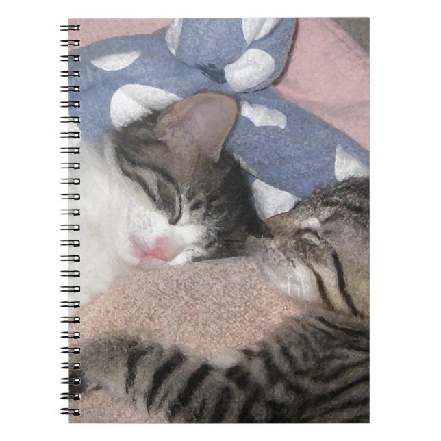 Cuaderno Gatitos dulces el dormir (Frente)