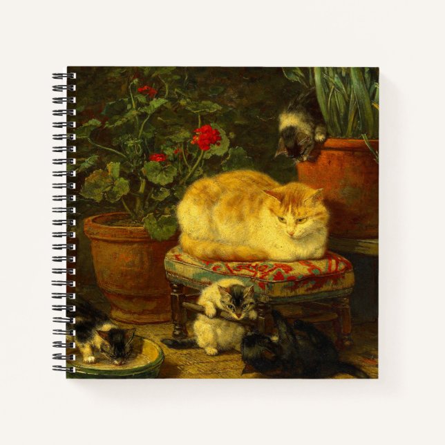 Cuaderno Gatitos en juego (Anverso)
