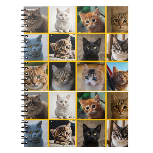 Cuaderno Gatitos en todas partes (Frente)