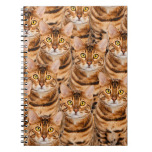 Cuaderno Gatitos espectaculares de Bengala