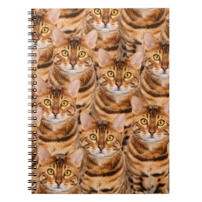 Cuaderno Gatitos espectaculares de Bengala (Frente)