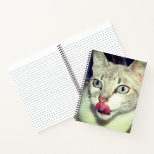 Cuaderno Gato