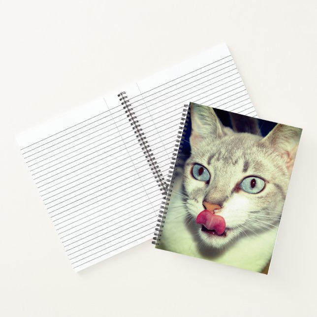 Cuaderno Gato (Interior)