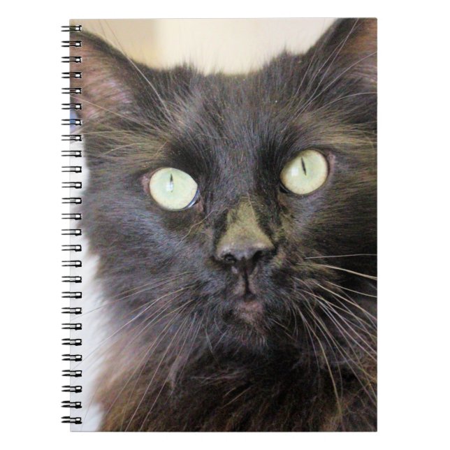 Cuaderno Gato (Frente)