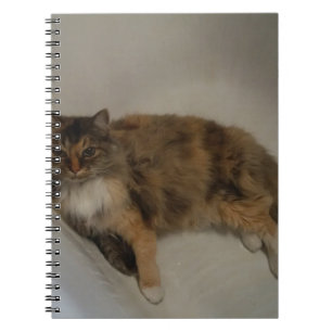 Cuaderno Gato