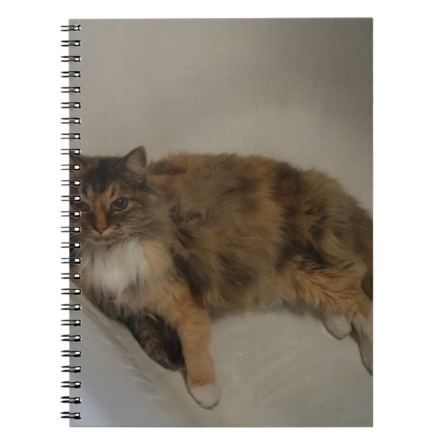 Cuaderno Gato (Frente)