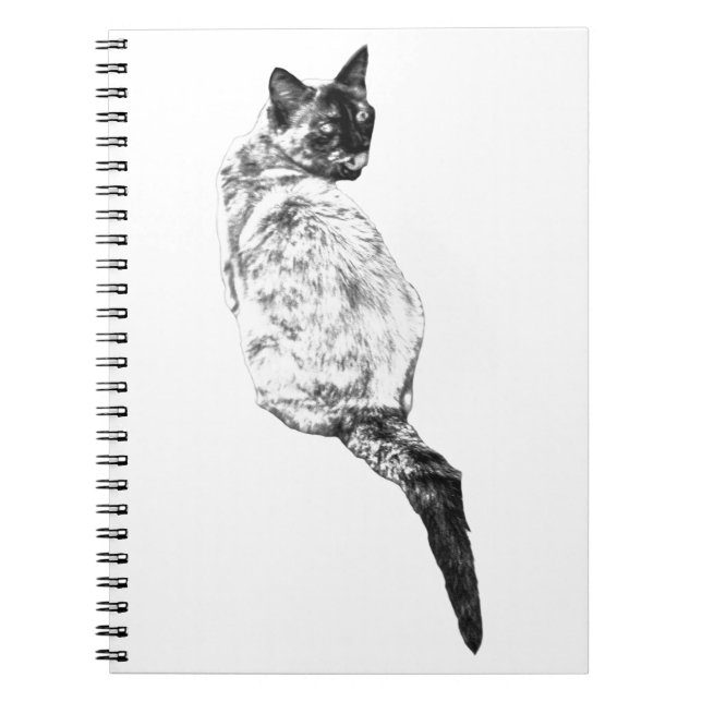 Cuaderno Gato acicalándose tranquilo, pensamientos silencio (Frente)
