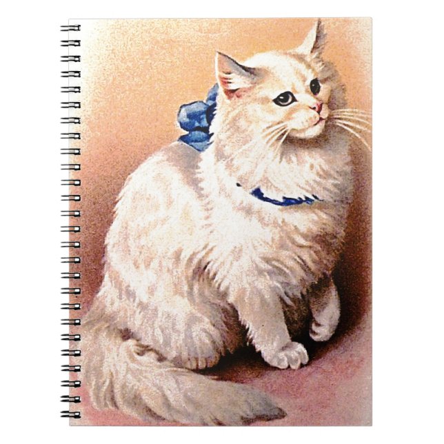 Cuaderno Gato Antiguo con Lazo Azul (Frente)