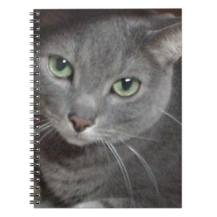 Cuaderno Gato azul de Rusia