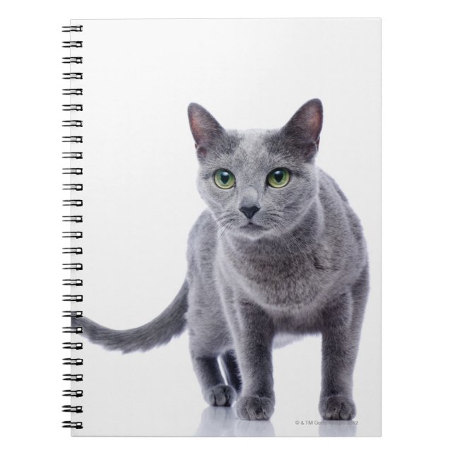 Cuaderno Gato azul ruso (Frente)