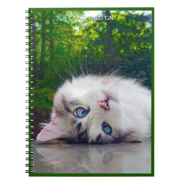 Cuaderno Gato bizco (Frente)