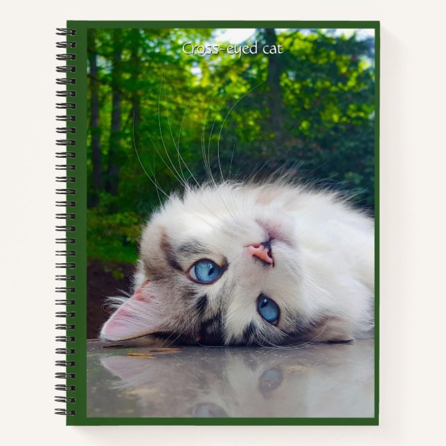 Cuaderno Gato bizco (Anverso)