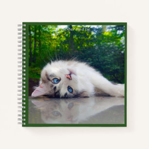 Cuaderno Gato bizco