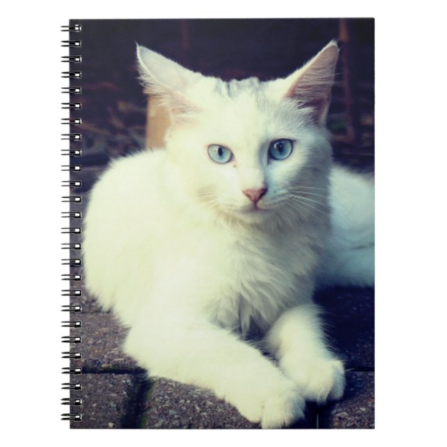 Cuaderno Gato blanco (Frente)