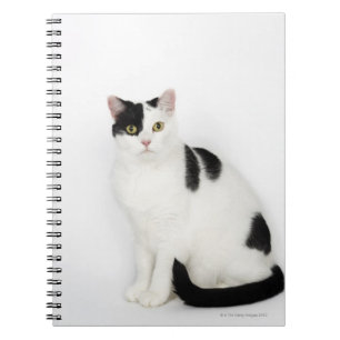 Cuaderno Gato blanco con los puntos negros