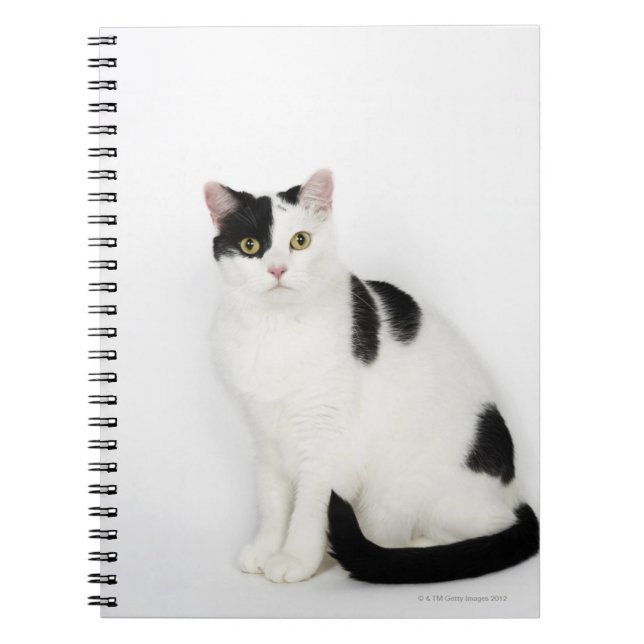 Cuaderno Gato blanco con manchas negras (Frente)