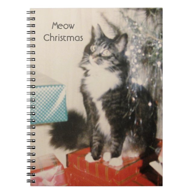 Cuaderno Gato Blanco Gris (Frente)