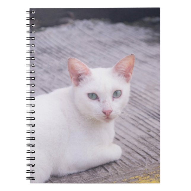 Cuaderno Gato Blanco Hermoso (Frente)
