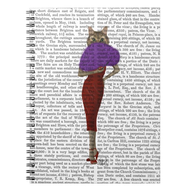 Cuaderno Gato Con Vestido Rojo (Frente)