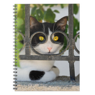 Cuaderno Gato curioso con espectros marco Funny tapa fotogr