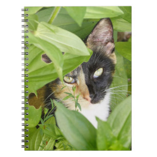 Cuaderno Gato de Calico en las Zinnias