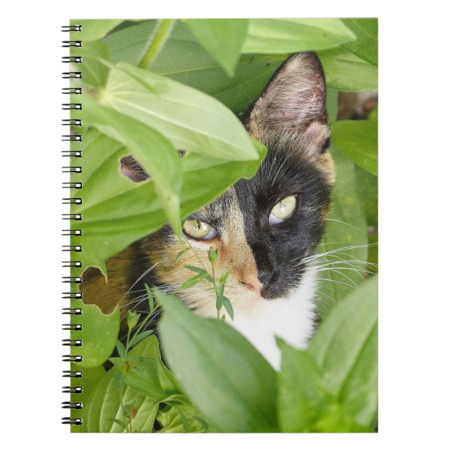 Cuaderno Gato de Calico en las Zinnias (Frente)