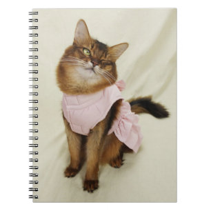 Cuaderno Gato de cerdo somalí