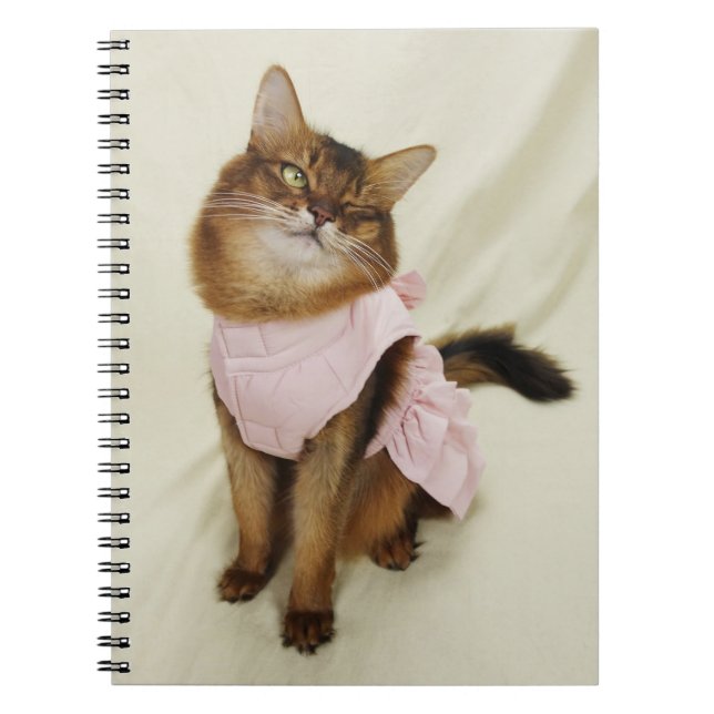 Cuaderno Gato de cerdo somalí (Frente)