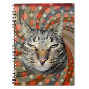 Cuaderno Gato de Guay - ¡TIENES EL TÍTULO DE TU regalo!
