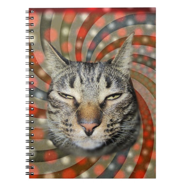Cuaderno Gato de Guay - ¡TIENES EL TÍTULO DE TU regalo! (Frente)