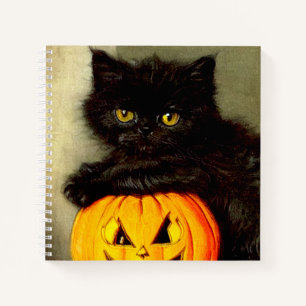 Cuaderno Gato de Halloween vintage y linterna de Jack-o
