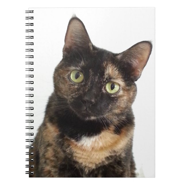 Cuaderno Gato de la concha (Frente)