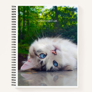 Cuaderno Gato de ojos cruzados