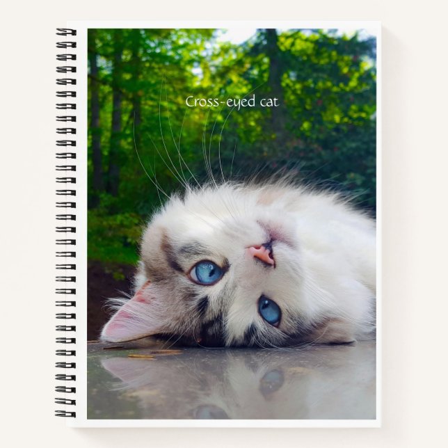 Cuaderno Gato de ojos cruzados (Anverso)