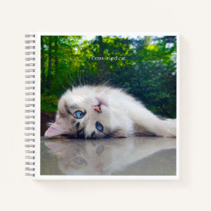 Cuaderno Gato de ojos cruzados