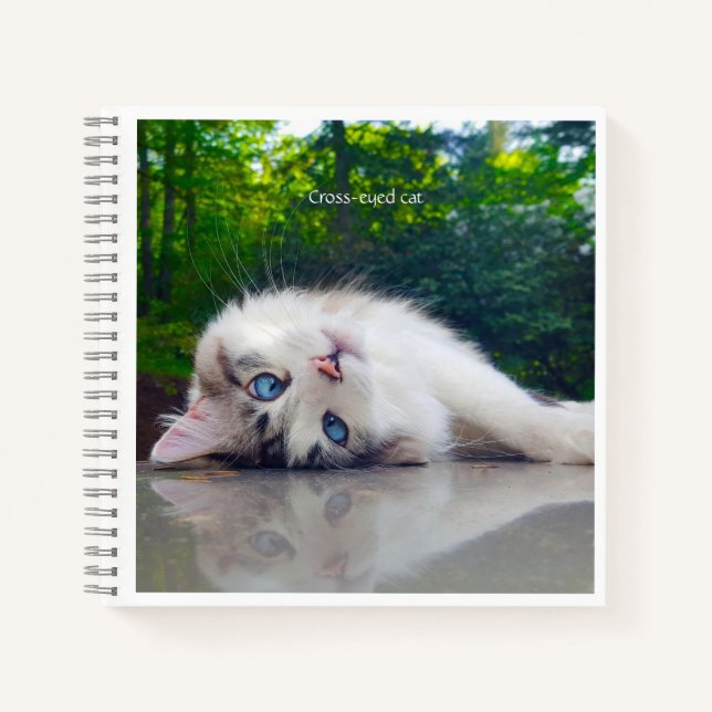 Cuaderno Gato de ojos cruzados (Anverso)