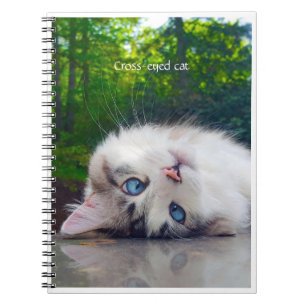 Cuaderno Gato de ojos cruzados