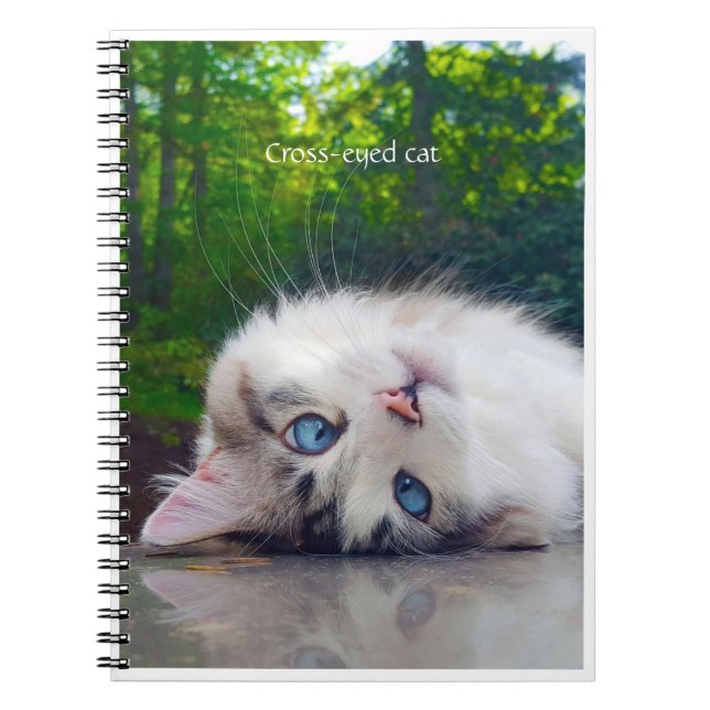 Cuaderno Gato de ojos cruzados (Frente)