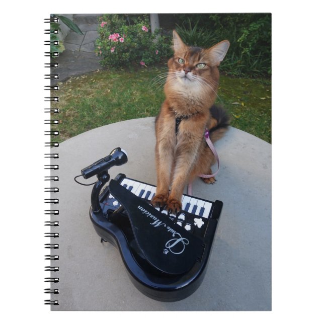 Cuaderno Gato de piano, gracioso músico de gato somalí toca (Frente)