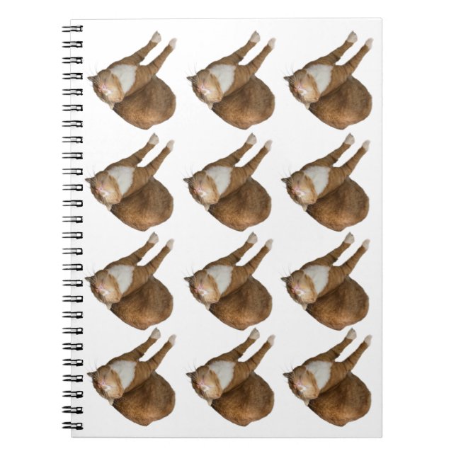 Cuaderno Gato de Sol al Revés (Frente)