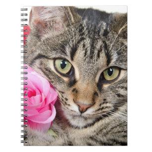 Cuaderno Gato de Tabby lindo con el rosa