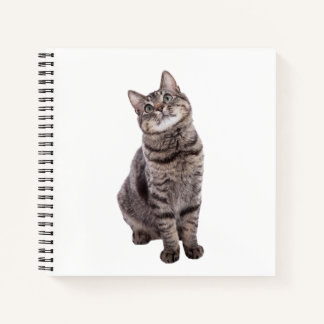 Cuaderno Gato de tabla de corte