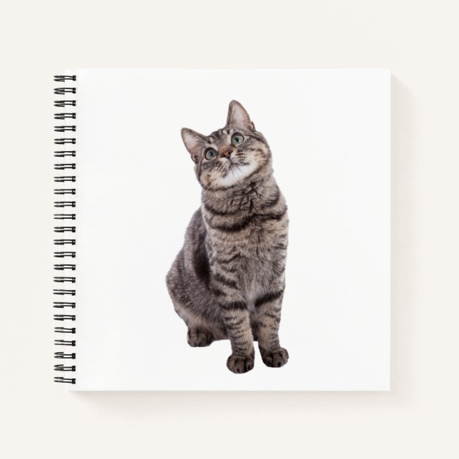 Cuaderno Gato de tabla de corte (Anverso)