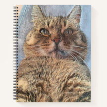 Gato de tigre majestuoso