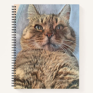 Cuaderno Gato de tigre majestuoso