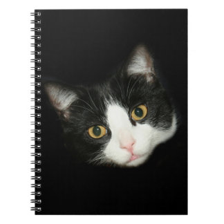 Cuaderno Gato de Tuxedo