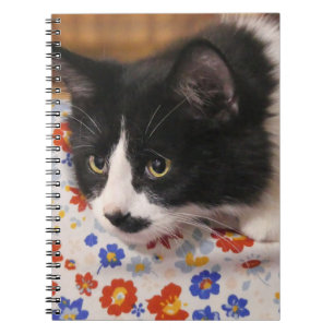 Cuaderno Gato de Tuxedo