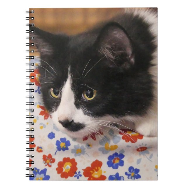 Cuaderno Gato de Tuxedo (Frente)